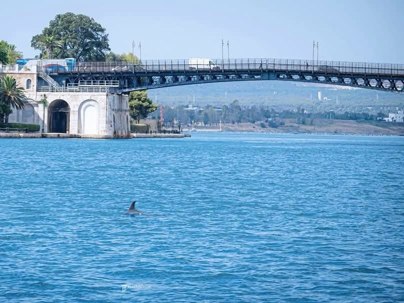 Ponte Girevole