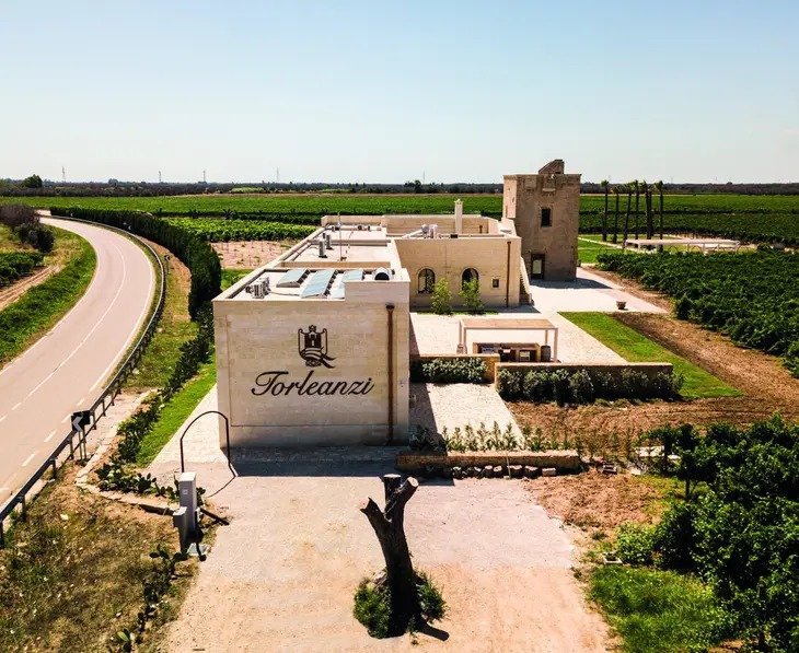 Cantine Primitivo